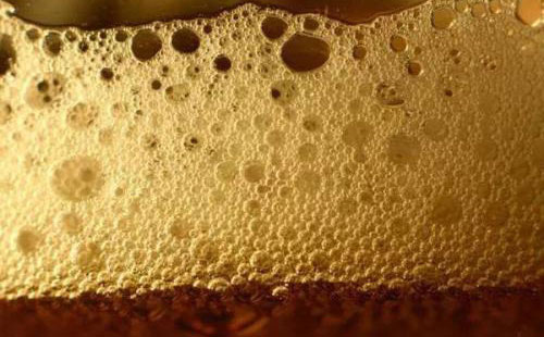 (圖:生物發(fā)酵起泡原因分析)